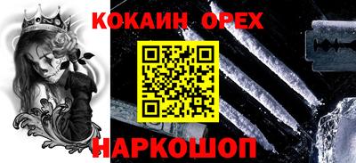 сатива Можга