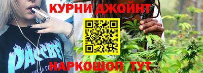 сатива Можга