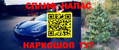сатива Можга