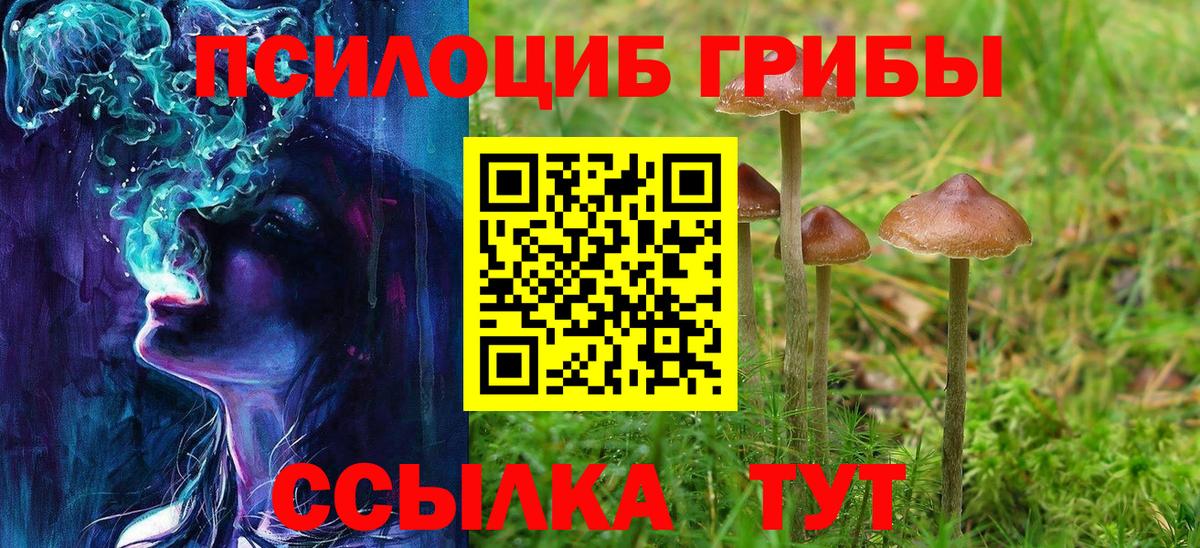 Псилоцибиновые грибы Psilocybine cubensis Соликамск